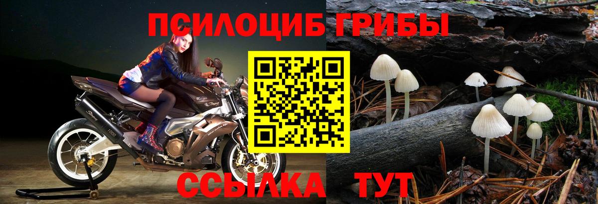 Химки  Галлюциногенные грибы MAGIC MUSHROOMS  Вход с VPN  где можно купить наркотик  Псилоцибиновые грибы прущие грибы 