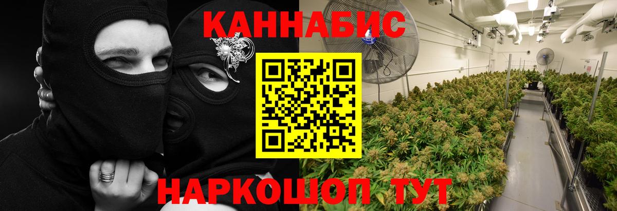 Химки  Бошки марихуана план  МАРИХУАНА MAZAR  Вход с VPN  МАРИХУАНА тримм 